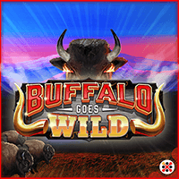 Buffalo Goes Wild